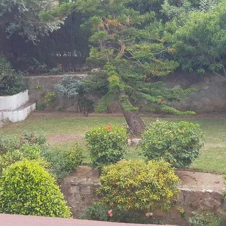 Africa